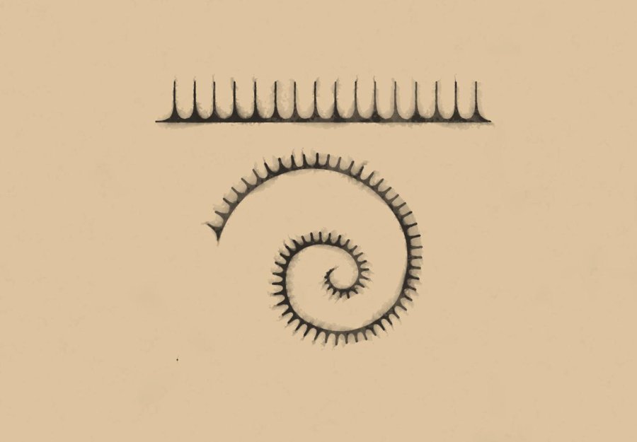Sun Rays Polynesian tattoo motif icon