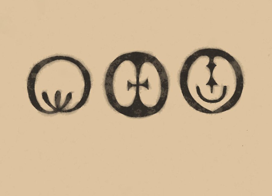 Wild Yam Leaf Polynesian tattoo motif icon